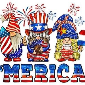 ‘ Merica gnomes 20 oz tumbler